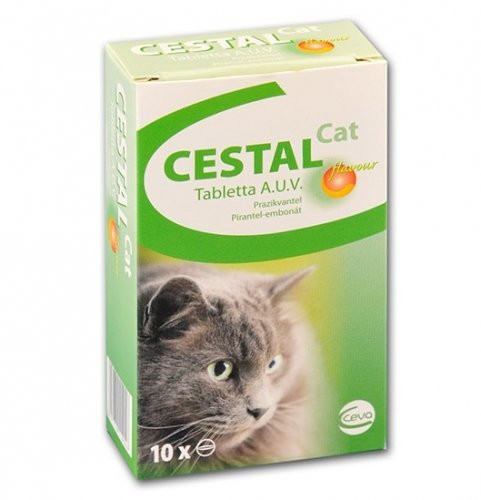 Cestal Cat tabletta 8db