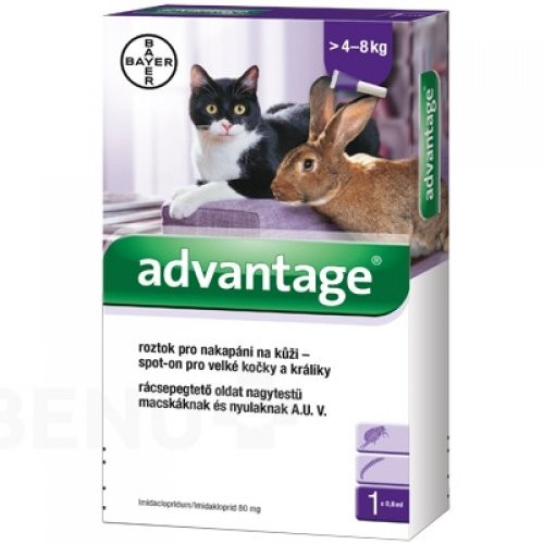 Advantage 80 macska/nyúl 0,8 ml 4 kg felett 4x