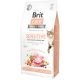 Brit Care Cat SENSITIVE PULYKA & LAZAC 2kg